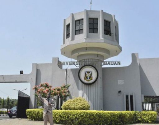 Mimiko, Salako, Five Others In For UI Vice Chancellor