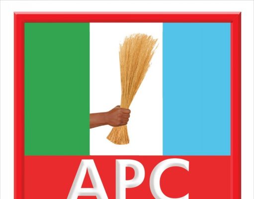 Neutral Aspirant ideal as APC Candidate for IBN Bye – election